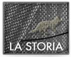 Aurora Volpe - La Storia